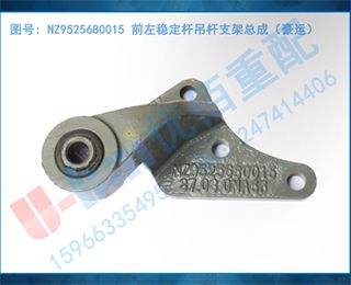 NZ9525680015 ǰȶ˵֧ܳɣˣ