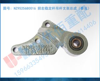 NZ9525680016 ǰȶ˵֧ܳɣˣ