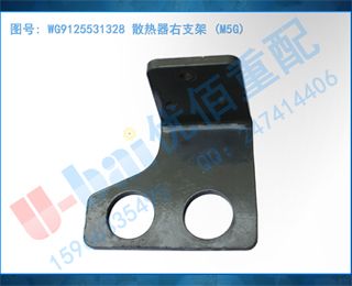 WG9125531328 ɢ֧ (M5G)