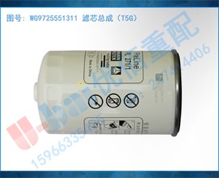 WG9725551311 оܳɣT5G