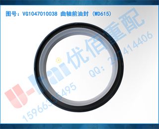 VG1047010038 ǰͷ (WD615)