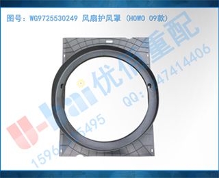 WG9725530249 Ȼ (HOWO 09)