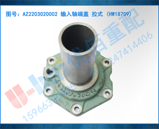 AZ2203020002 ˸ ʽ (HW18709)