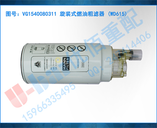 VG1540080311 װʽȼʹ (WD615)