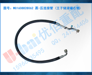 WG1608828062 -ѹӹ (ӴҺҲ)