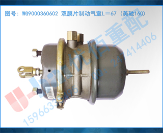 WG9000360602 ˫ĤƬƶL67 (160)