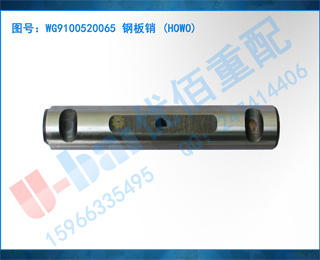 WG9100520065 ְ (HOWO)
