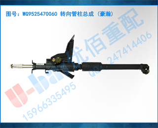 WG9525470060 תܳ ()
