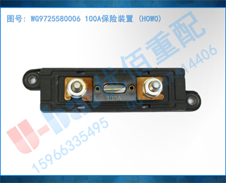 WG9725580006 100Aװ (HOWO)