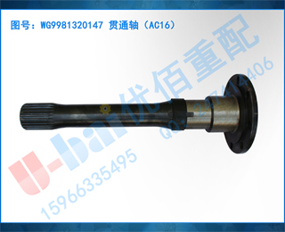 WG9981320147 ͨᣨAC16