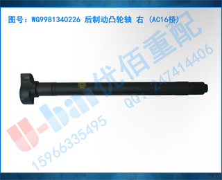 WG9981340226 ƶ͹  (AC16)