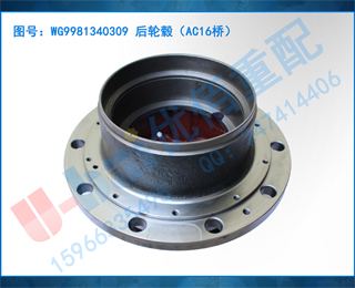 WG9981340309 챣AC16ţ