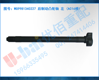 WG9981340227 ƶ͹  (AC16)