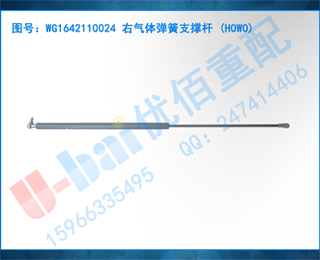 WG1642110024 嵯֧Ÿ (HOWO)