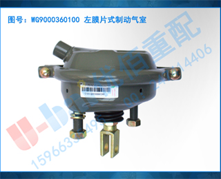 WG9000360100 ĤƬʽƶ
