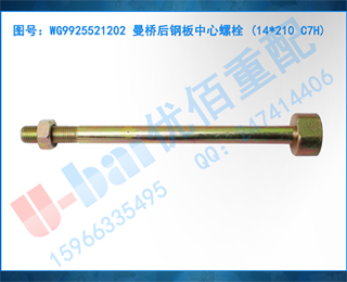 WG9925521202 źְ˨ (14X210 C7H)