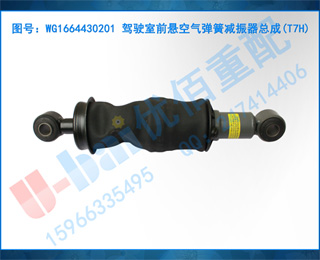 WG1664430201 ʻǰɼܳ(T7H)