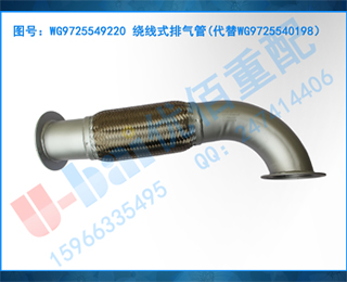 WG9725549220 ʽ(WG9725540198