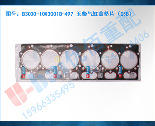 B3000-1003001B-497 ׸ǵƬC5B