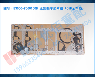 B3000-9000100B Ƭ飨C5Bȫ棩