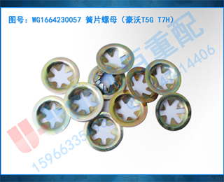 WG1664230057 ƬĸT5G T7H