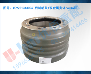 WG9231343006 ƶ(˫AC16)