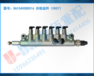 R61540080016 0007
