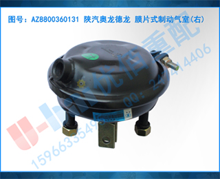 AZ8800360131  ĤƬʽƶ()