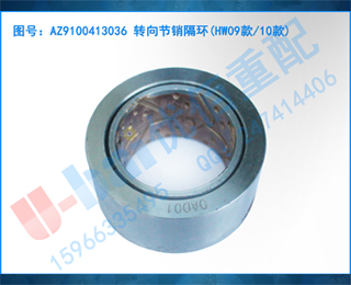 AZ9100413036 ת(HW0910)