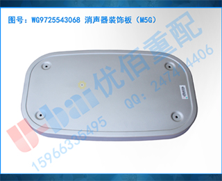 WG9725543068 װΰ壨M5G