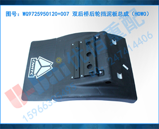 WG9725950120+007 ˫źֵܳɣHOWO