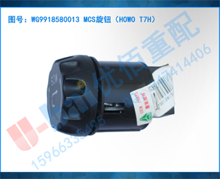 WG9918580013 MCSťHOWO T7H