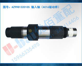 AZ9981320105 ᣨAC16ţ