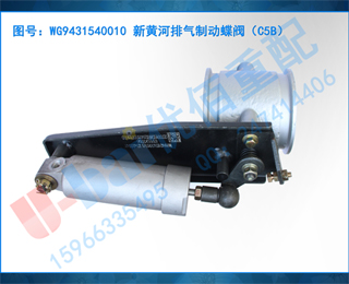 WG9431540010 »ƺƶC5B