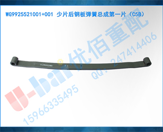 WG9925521001+001 Ƭְ嵯ܳɵһƬC5B