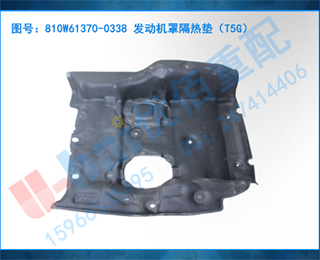 810W61370-0338 ָȵ棨T5G