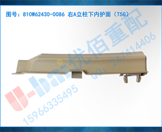 810W62430-0086 Aڻ棨T5G