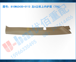 810W62430-0113 Aڻ棨T5G