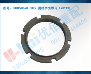 810W90620-0092 ſĸMCY13)