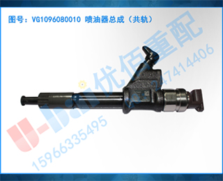 VG1096080010 ܳɣ죩