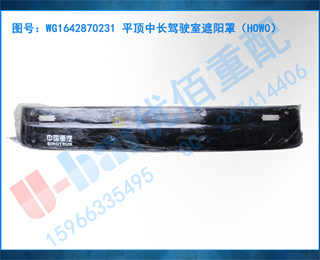 WG1642870231 ƽгʻ֣HOWO