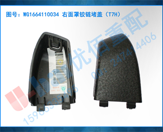 WG1664110034 ֽ¸ǣT7H