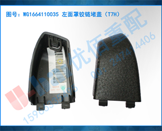 WG1664110035 ֽ¸ǣT7H