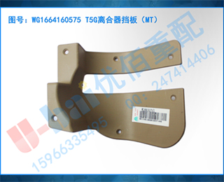 WG1664160575 T5G壨MT
