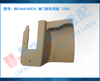 WG1664160576 ɲ壨T5G