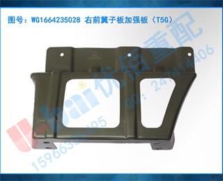 WG1664235028 ǰӰǿ壨T5G