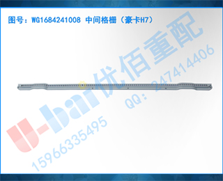 WG1684241008 мդH7