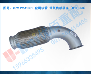 WG9119541301 -M5G C5B